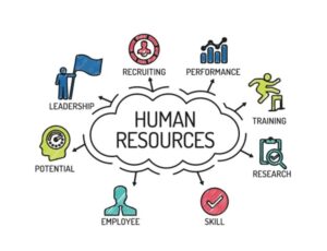 7 Human Resource Management Basics Every HR Professional Should Know
